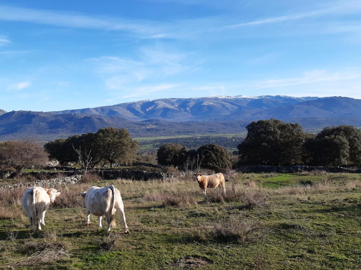 Casa Rural Mi Descanso Valdefuentes de Sangusín Dış mekan fotoğraf